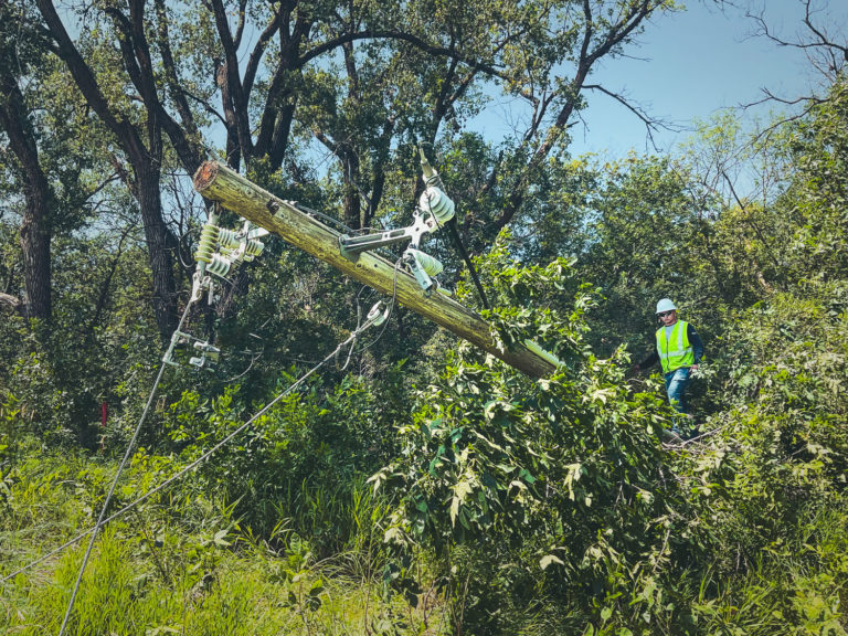 Building a Sustainable Vegetation Management Cycle at LREC
