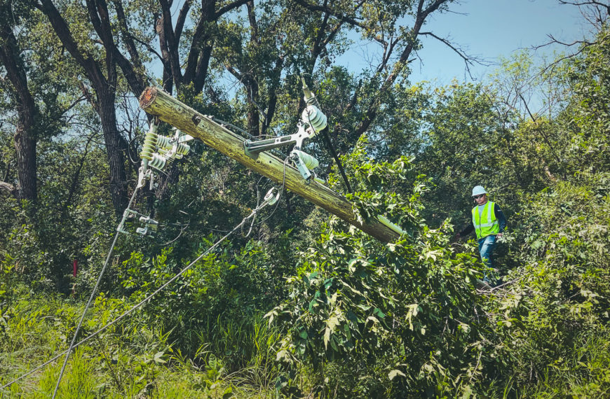 Building a Sustainable Vegetation Management Cycle at LREC